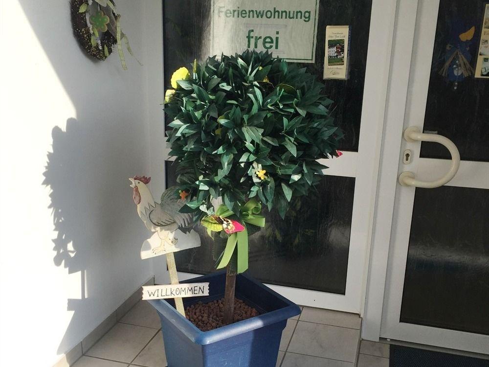 Apartment Haus Zur Linde Cochem